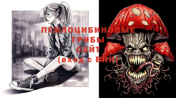 герыч Козельск