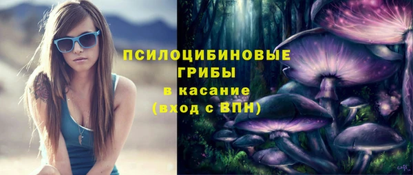 герыч Козельск