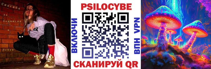 Галлюциногенные грибы Psilocybe  Купить где  Иланский 